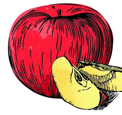 spudbannerthumb