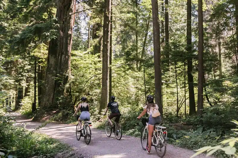 stanley park bike tour stanley park bike tour