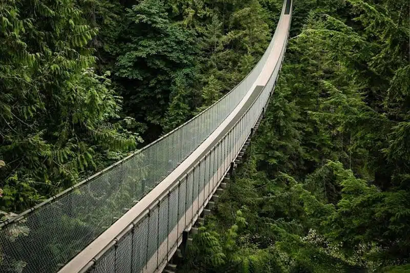 self-guided-capilano-tour-highlight-capilano-bridge-2
