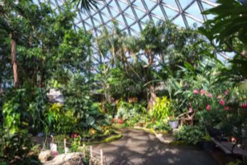 self-guided-queen-elizabeth-park-tour-highlight-2