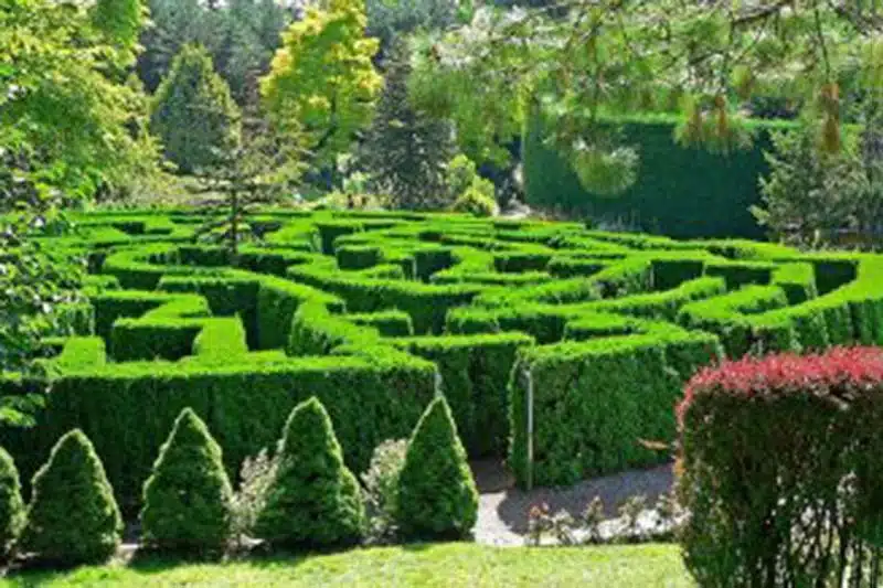 self-guided-queen-elizabeth-park-tour-highlight-3