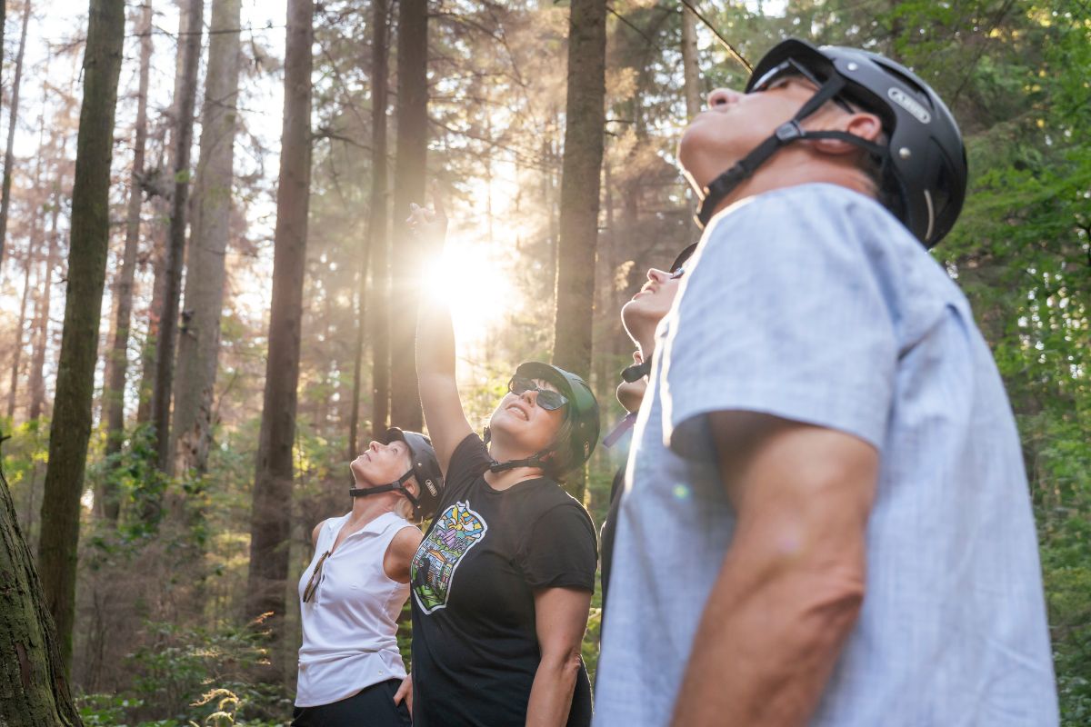 A bike tour group looking up and admiring old growth trees in Stanley Park on the Grand Bike Tour.