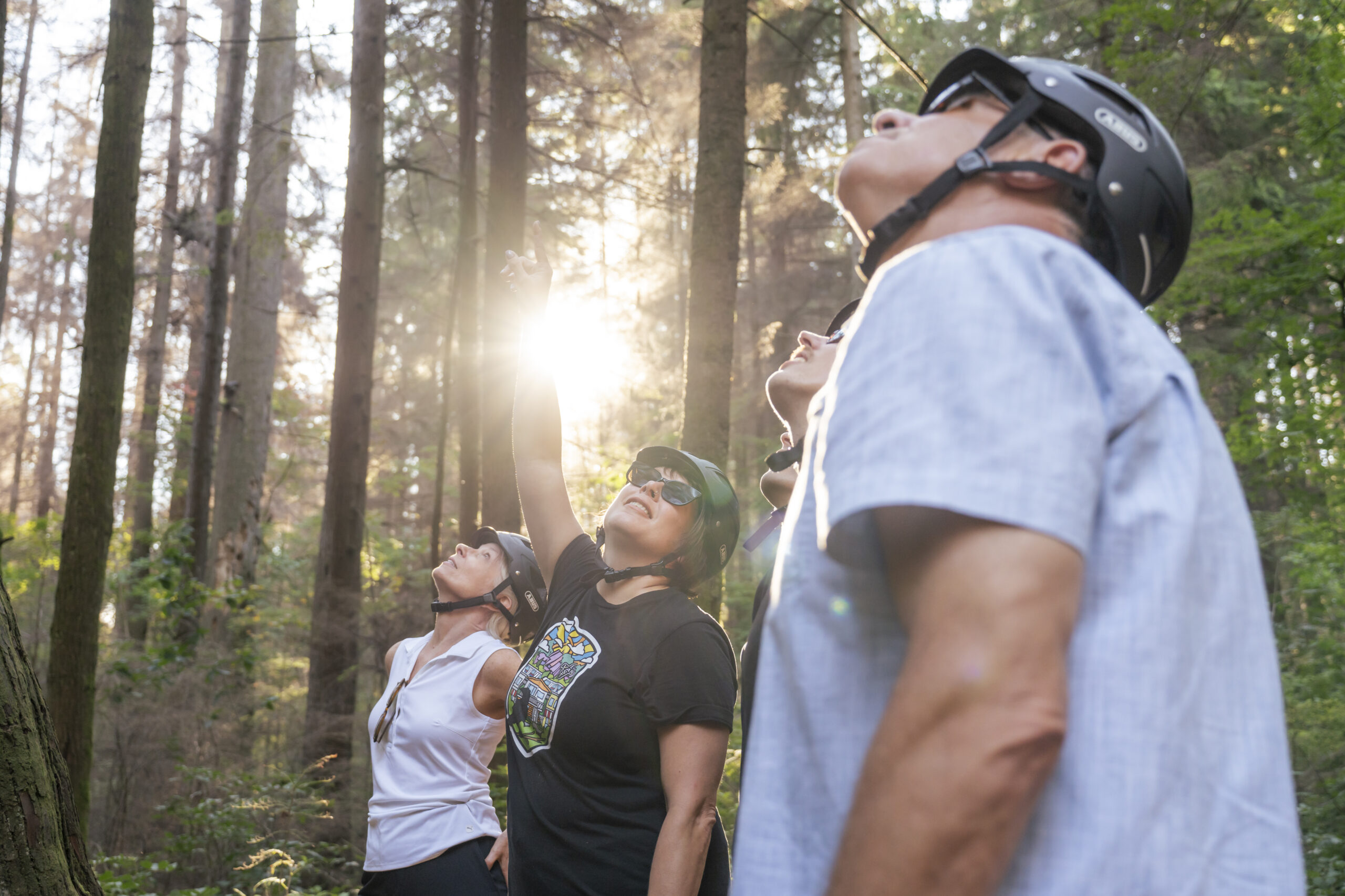 Cyclists looking up and admiring old growth trees in Stanley Park.