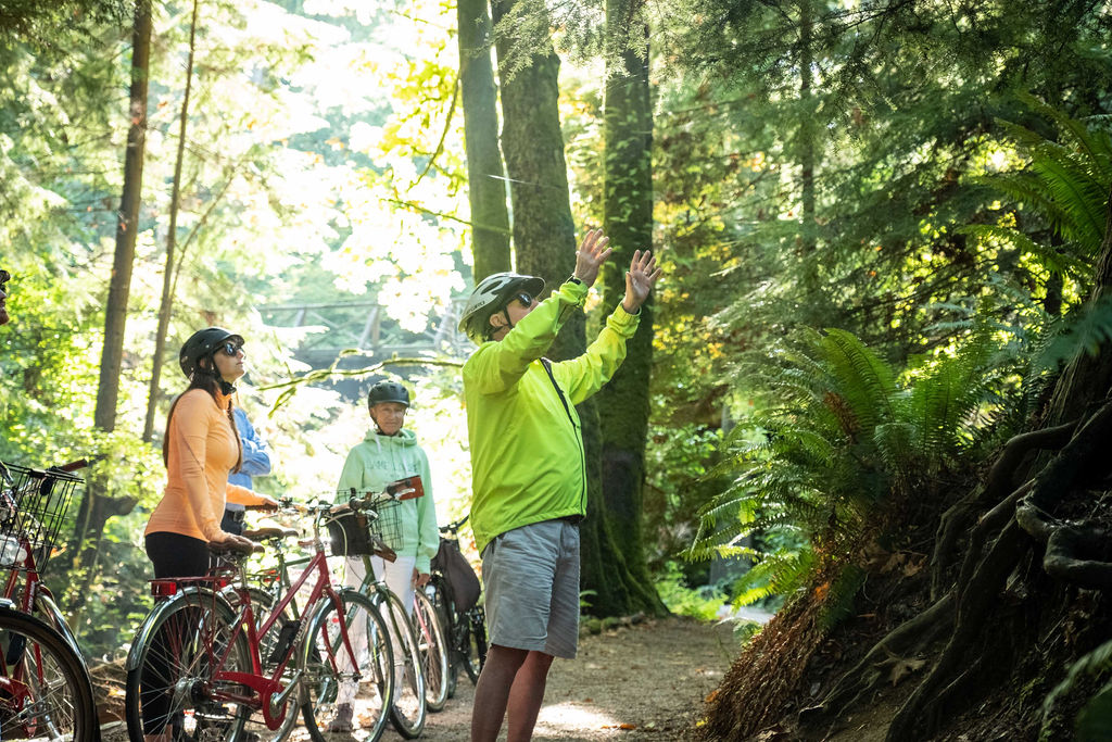 A group of cyclists admiring old growth trees on a sunny day on the Stanley Park Bike Tour.