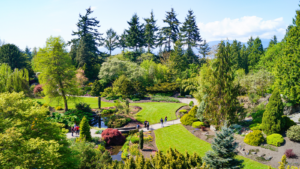 4 Scenic Bike Rides in Vancouver That Locals Actually Love (Beyond the Seawall) 3